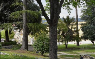 Insieme, manteniamo il decoro della nostra città!